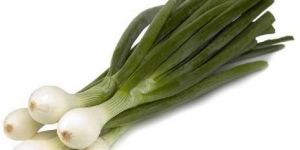 Fresh Spring Onion