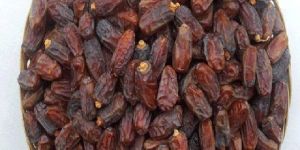 Mashrook Dates
