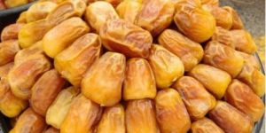 Premium Sukkari Dates