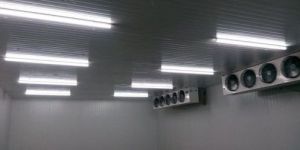 Dairy Products Cold Storage Room