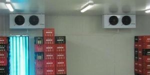 Fully Automatic Cold Storage Room