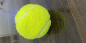 Cricket Tennis Ball