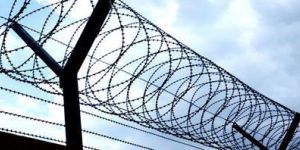 Concertina Coil Fencing Service