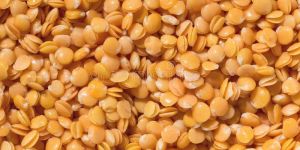 Lentils