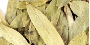 Senna Leaves