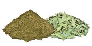 Senna Leaves Powder