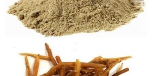 Shatavari Powder