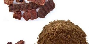 Shikakai Powder