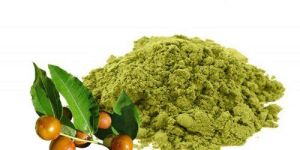 Sidr Leaves Powder