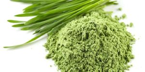 Wheatgrass Powder