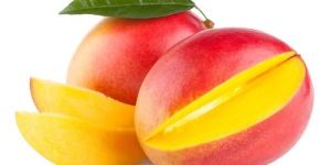 Alphonso Mango