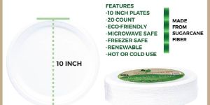 10 Inch Sugarcane Bagasse Plate