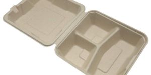 Compostable Lunch Box