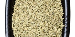 Fennel Seeds