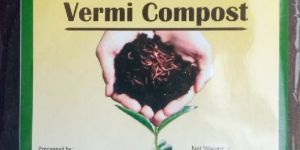 Vermicompost Manure