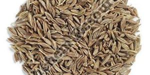 Green Cumin Seeds