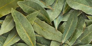 Bay Leaves