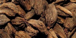 Black Cardamom