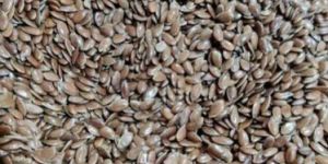 Flax Seeds