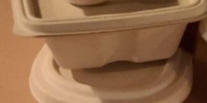 Bagasse Food Container