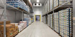 Modular Cold Storages