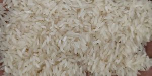 Sonamasoori Steam Rice