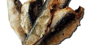 Dried Sardine Fish