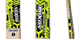 Hot Shot Junior Cricket Bat