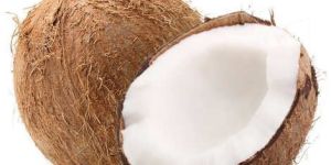 Fresh Coconut