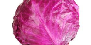 Fresh Red Cabbage