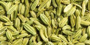 Fennel Seeds