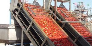 Tomato Processing Plant