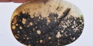 Montana Agate Gemstone