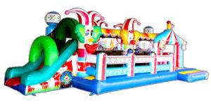 QLNC - 163 Inflatable Bouncy Castle