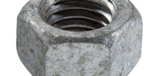 Stainless Steel Hex Nut