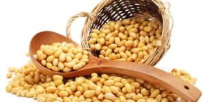 Soya Bean