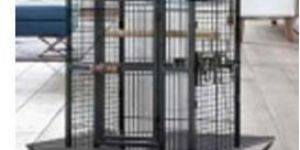 Parrot Cage