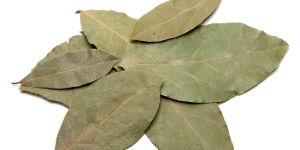 Dried Bay Leaves