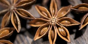 Star Anise