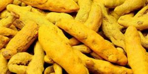Turmeric Finger