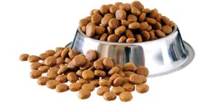 Dog Food
