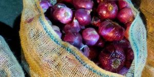 Fresh Red Onion