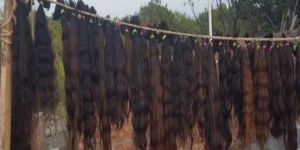 Indian Human Hair