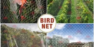 Bird Net