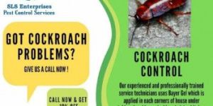 Cockroaches Pest Control Services