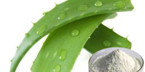Freeze Dried Aloe Vera Powder