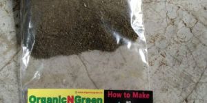 Sun Dried Mint Leaves