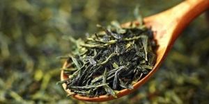 Plain Green Tea Leaves