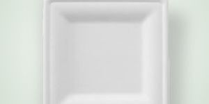 DR-KS-DP66 Disposable Plate