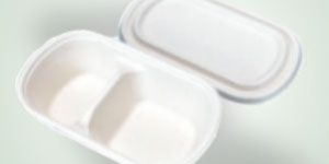 DS-BL800-2N Disposable Bowl